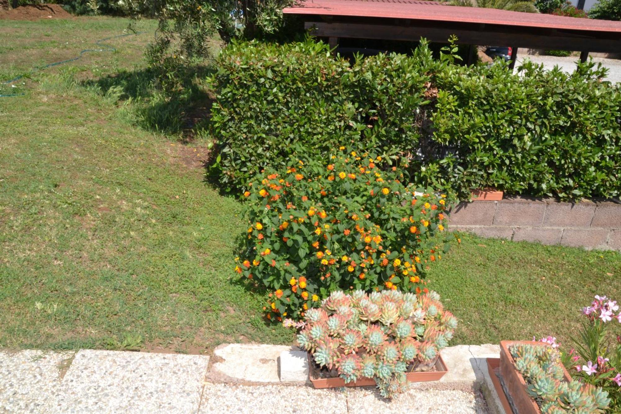 La Mimosa Hotel Bolgheri Exterior foto