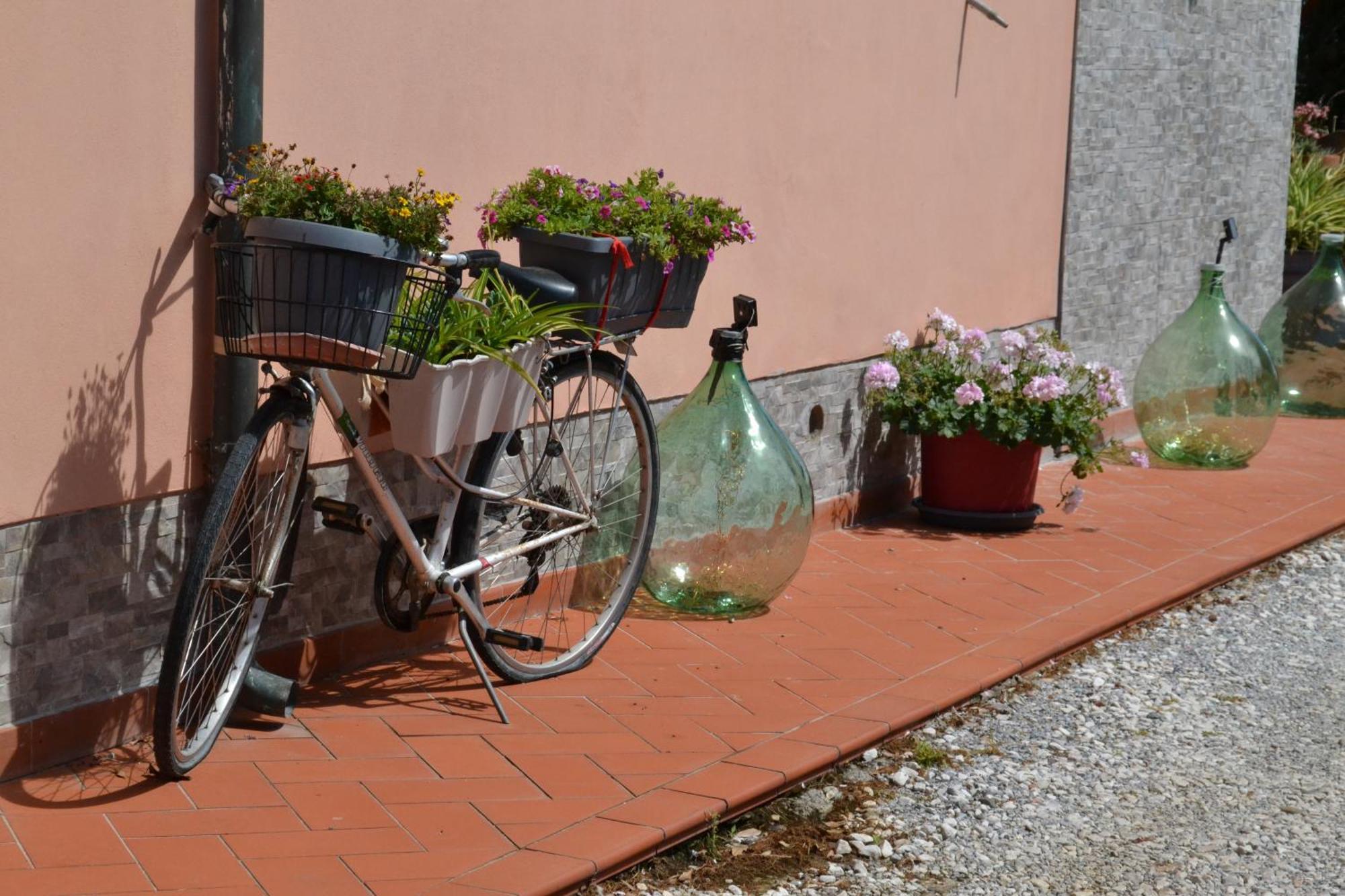La Mimosa Hotel Bolgheri Exterior foto
