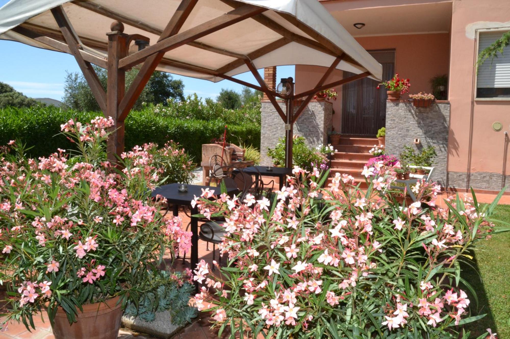 La Mimosa Hotel Bolgheri Exterior foto